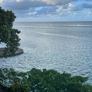 Meet your Posher, Tanesia